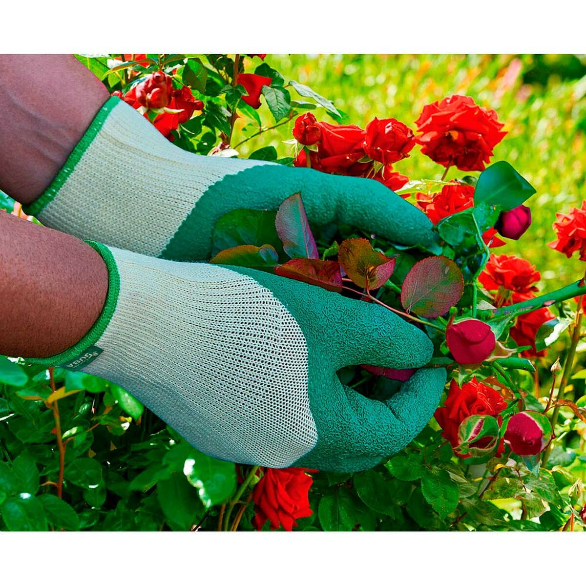 Gardening gloves JUBA Green-2